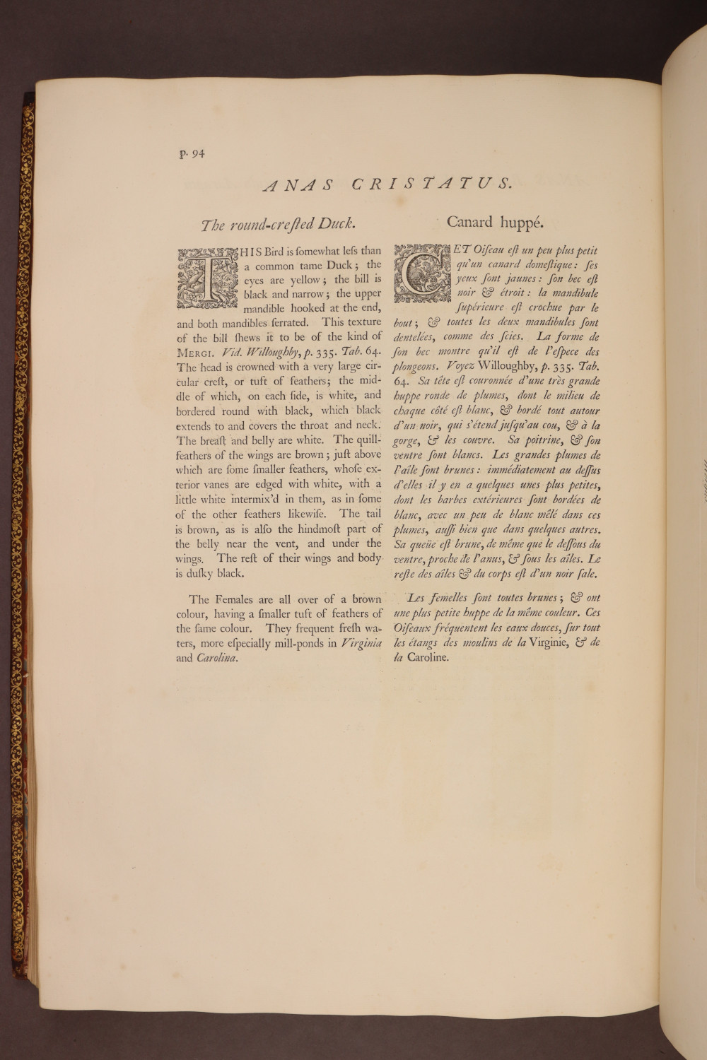 Page 94